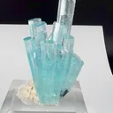 specimen video