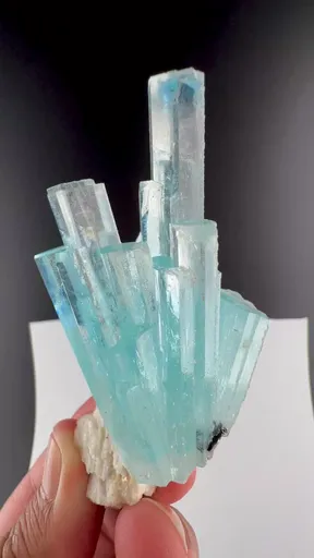 specimen video