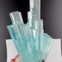 specimen video