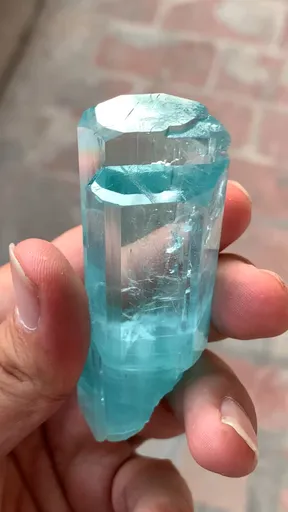 specimen video