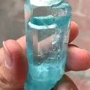 specimen video
