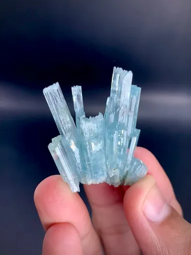specimen video