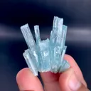 specimen video