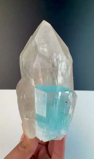 specimen video