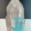 specimen video