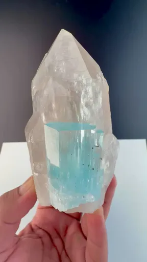 specimen video