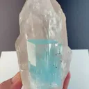 specimen video