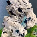 specimen video