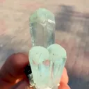 specimen video