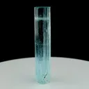 specimen video