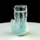 specimen video