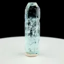 specimen video