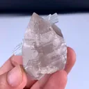specimen video