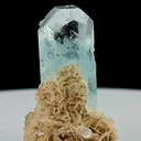 specimen video