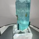 specimen video