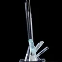 specimen video
