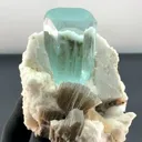specimen video