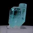 specimen video