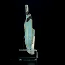 specimen video