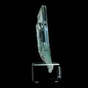 specimen video