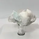 specimen video