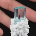 specimen video