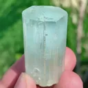 specimen video