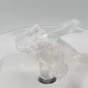 specimen video