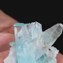 specimen video