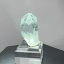 specimen video