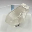 specimen video
