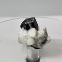 specimen video