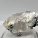 specimen video