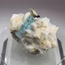specimen video