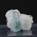 specimen video