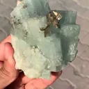 specimen video