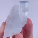 specimen video