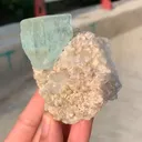 specimen video