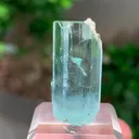 specimen video