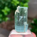 specimen video