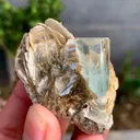 specimen video