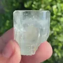 specimen video