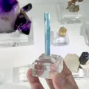 specimen video