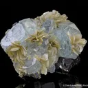 Aquamarine, Muscovite, Cassiterite - image 4