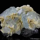 Aquamarine, Muscovite, Cassiterite - image 1
