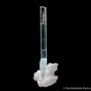 Aquamarine on Albite - image 2
