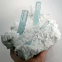Aquamarine on Albite - image 2