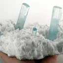 Aquamarine on Albite - image 1