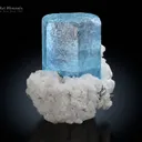 Aquamarine on Albite from Nyt Bruk Mine Pakistan - image 1