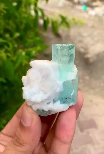 specimen video